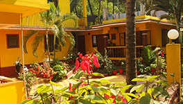 Yellow House - Front View_3